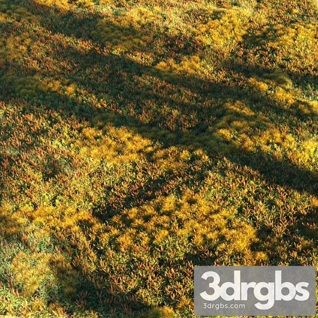 Grass set 2 Grass set 2