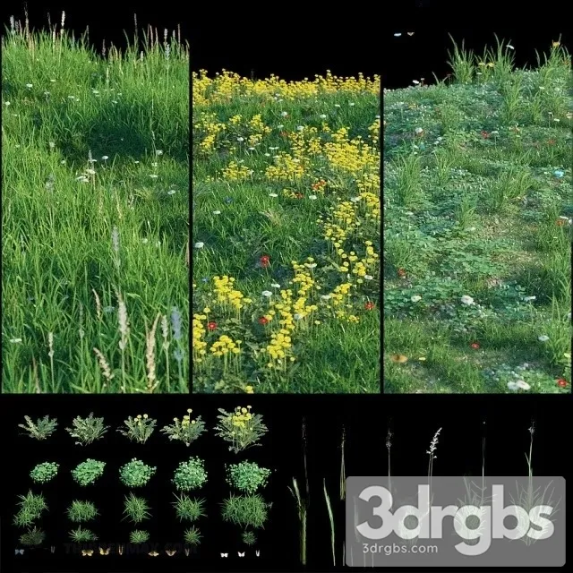 Grass Set 3D Model Download