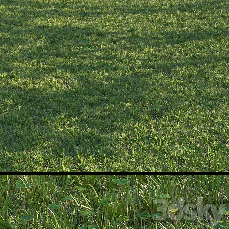 grass set04 3D Model Free Download