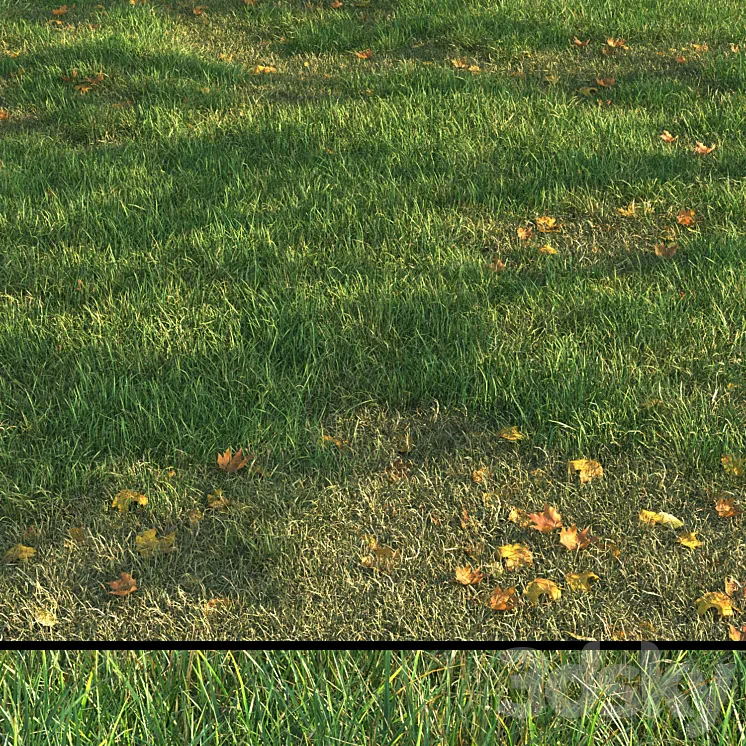 grass011 3D Model Free Download