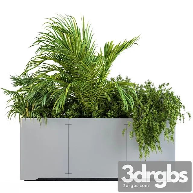 Gray Plants Box With Tropical Plant 3D Model Download