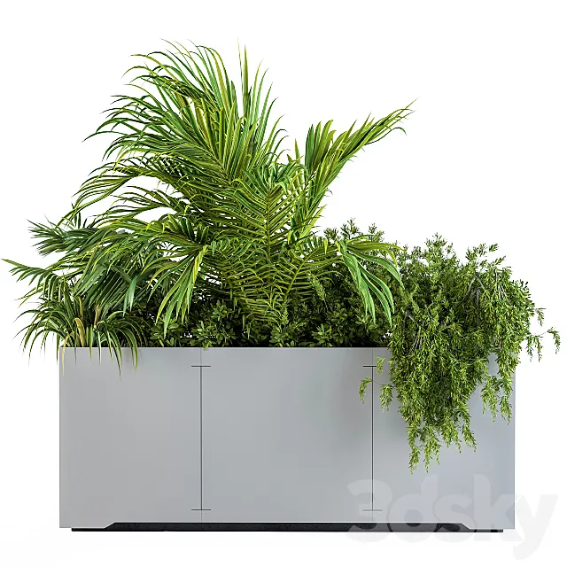 Gray Plants Box with Tropical plant 3D Model Gray Plants Box with Tropical plant 3D Model