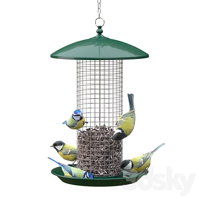 Great Tits and Blue Tits at bird feeder 3DModel