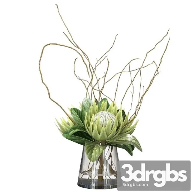 Green Bouquet With Protea 3D Model Download