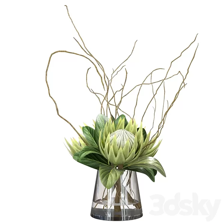 Green bouquet with protea 3D Model Free Download