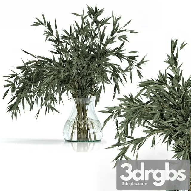 Green branch in vase – bouquet 003 Green branch in vase – bouquet 003