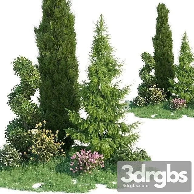 Green Coniferous Tree Set 3D Model Download