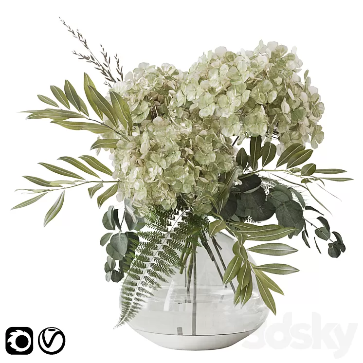 Green hydrangea 3D Model