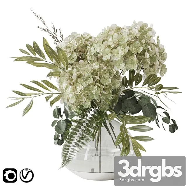 Green hydrangea Green hydrangea