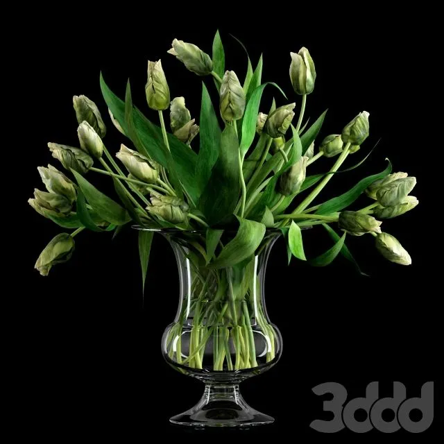 Green Parrot Tulips 3D Model Green Parrot Tulips 3D Model