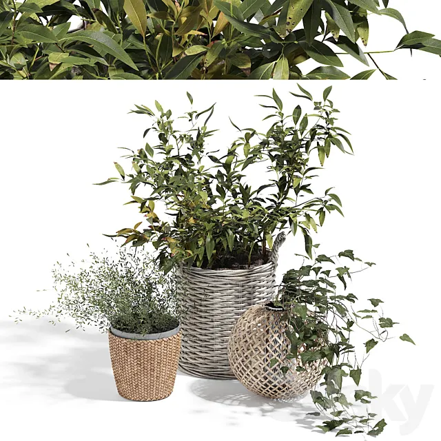 Green set 3D Model Green set 3D Model