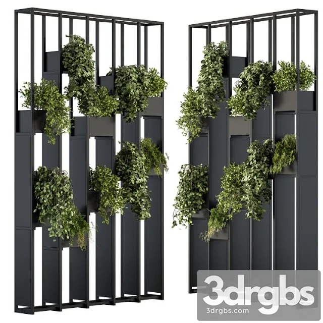 Green wall – plants partition 02 Green wall – plants partition 02