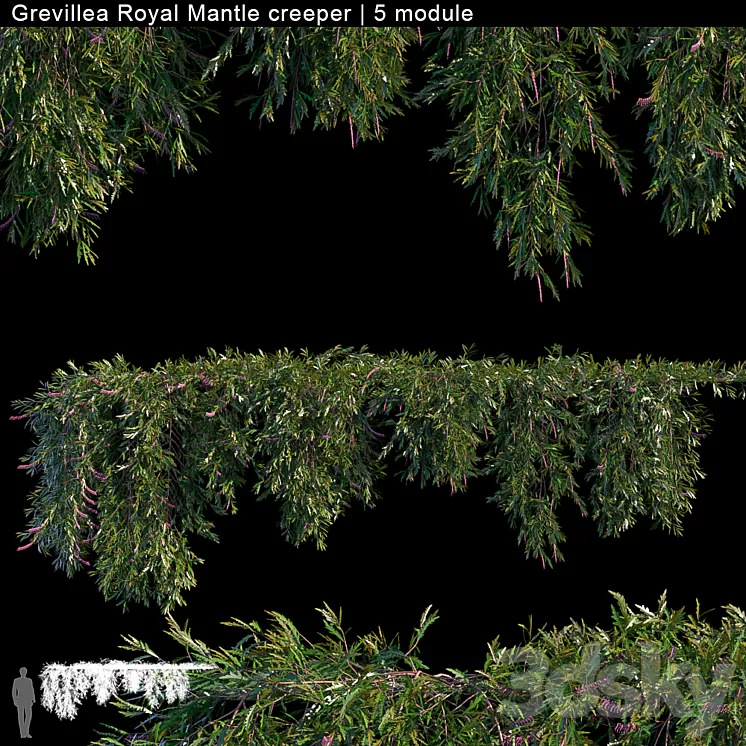 Grevillea Royal Mantle creeper | 5 module 3D Model Grevillea Royal Mantle creeper | 5 module 3D Model