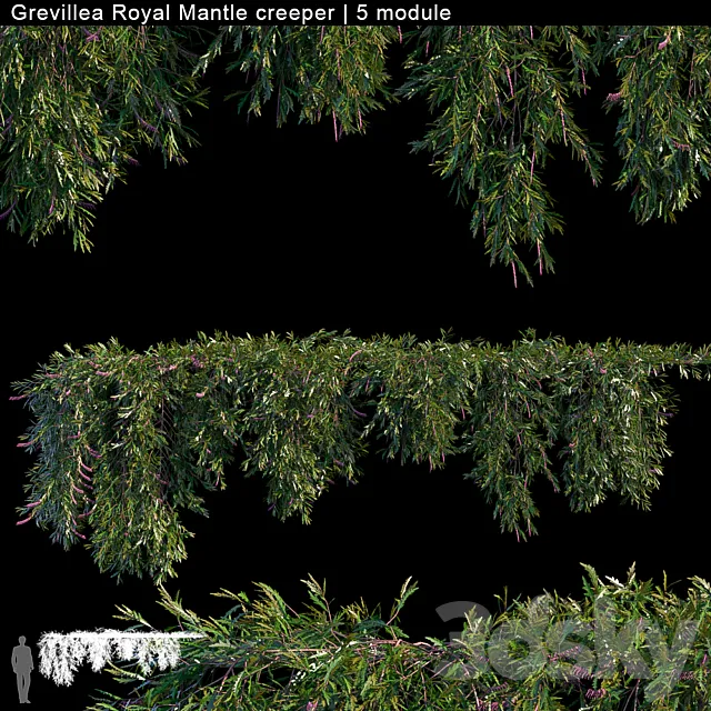 Grevillea Royal Mantle creeper | 5 module 3DModel Grevillea Royal Mantle creeper | 5 module 3DModel