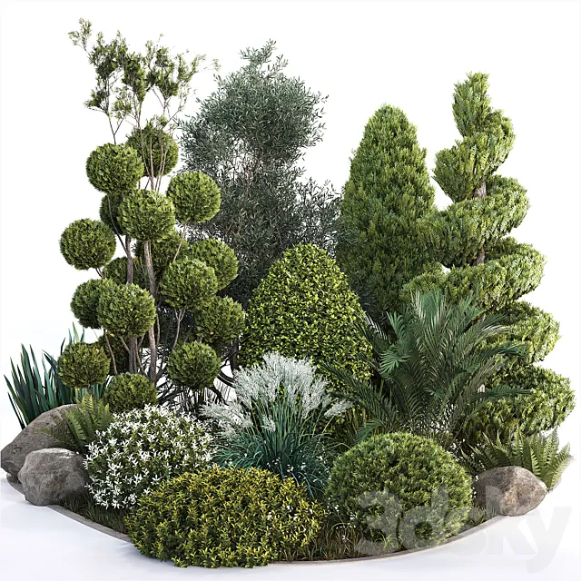 Group outdoor plants & Hedges 2 3D Model