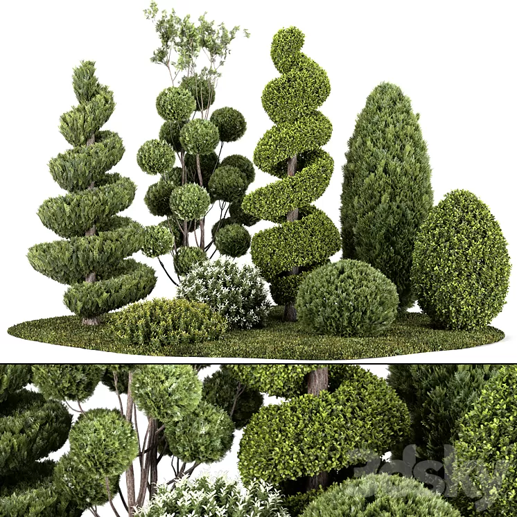 Group outdoor plants & Hedges 3D Model Free Download