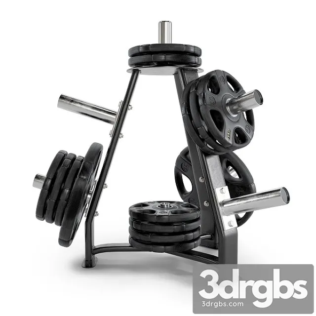 Gym Rack Disc Vid 01 3D Model Download