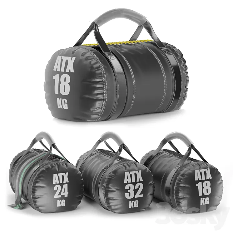 Gym Weight Atx Strongman Bag 3D Model Free Download
