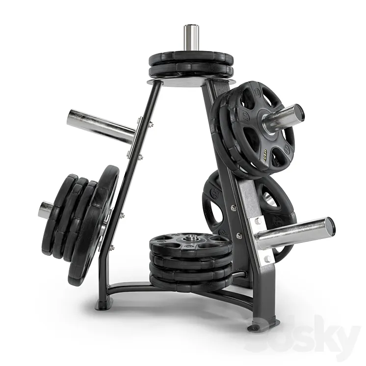 Gym_Rack_Disc_Vid_01 3D Model Free Download