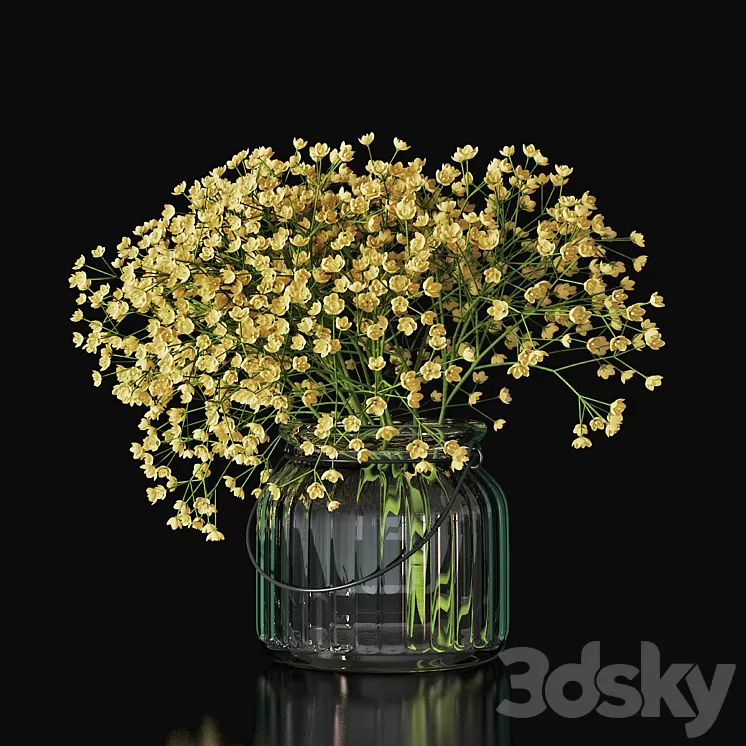 Gypsophila 03 3D Model