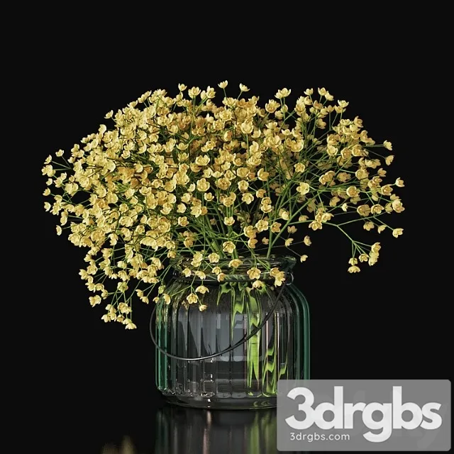 Gypsophila 03 Gypsophila 03