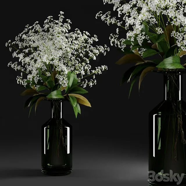 Gypsophila and magnolia leaves in bottle 3D Model