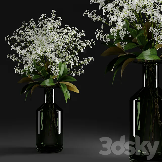 Gypsophila and magnolia leaves in bottle 3DModel