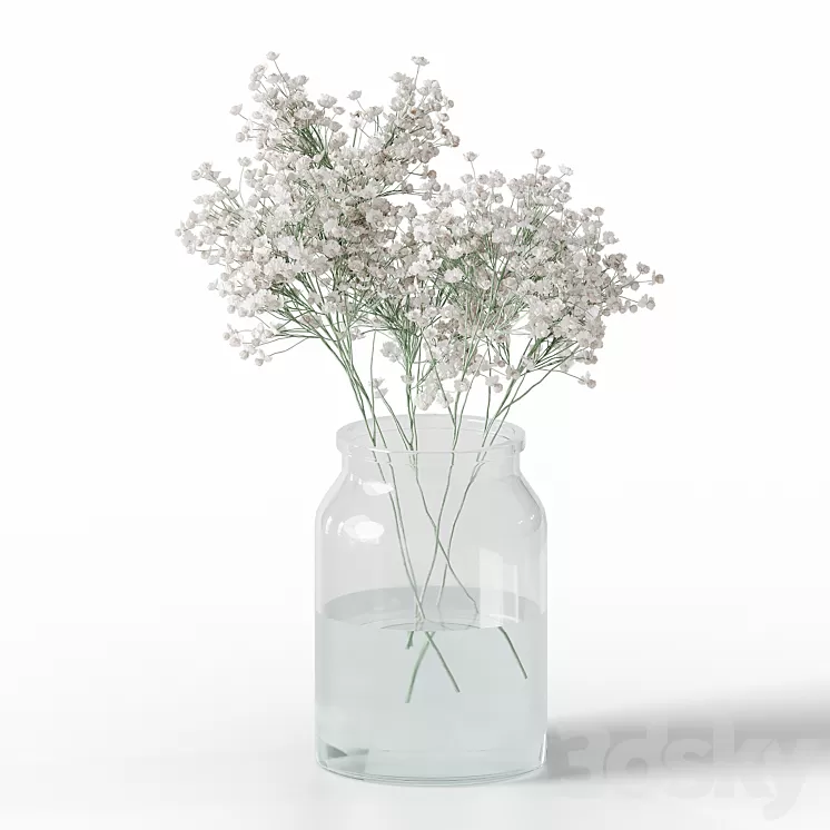 Gypsophila bouquet 3D Model Gypsophila bouquet 3D Model