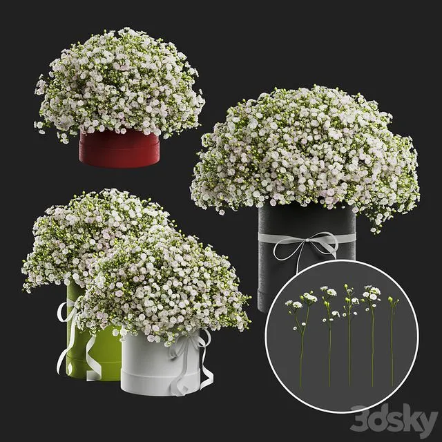 Gypsophila bouquet in a hat box 3D Model Gypsophila bouquet in a hat box 3D Model