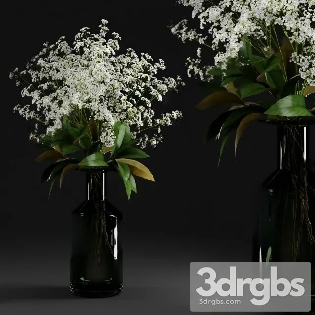 Gypsophila Magnolia Leaves Bottle 3D Model Download