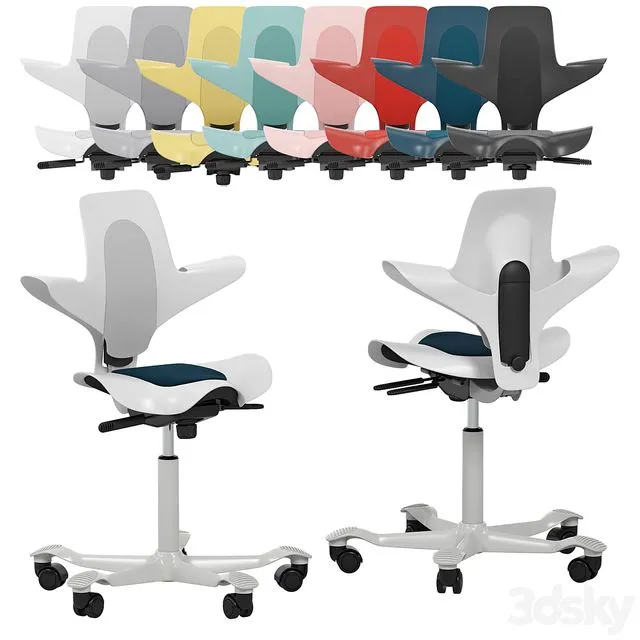 HAG Capisco Puls 8010 3D Model