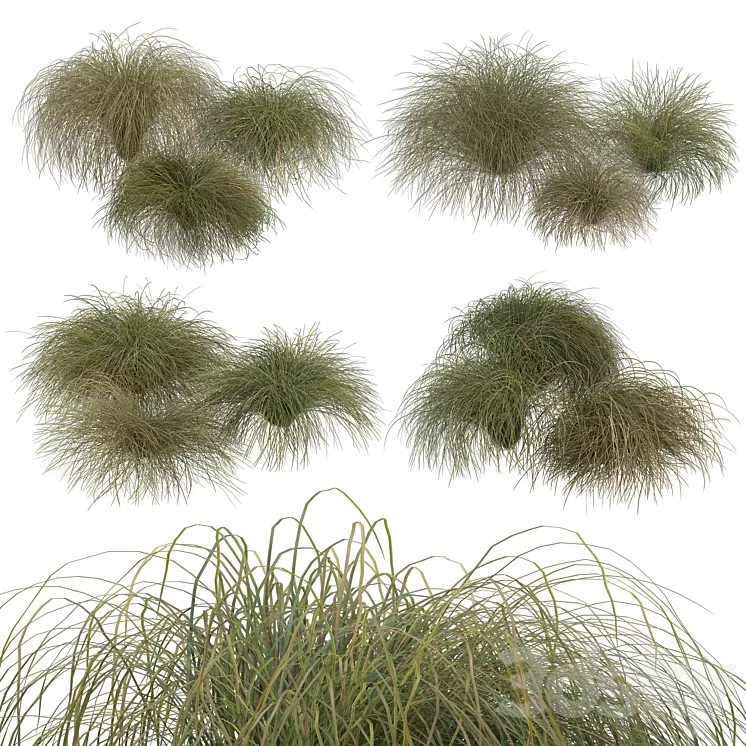 HairSedge 3D Model HairSedge 3D Model