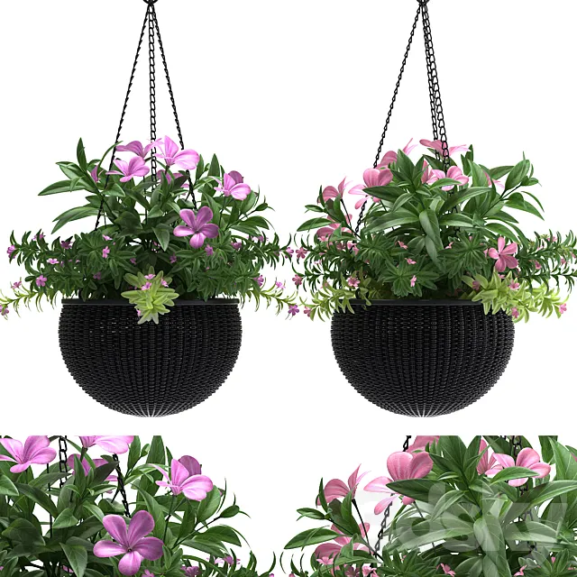 HANGING BASKET 3DModel HANGING BASKET 3DModel