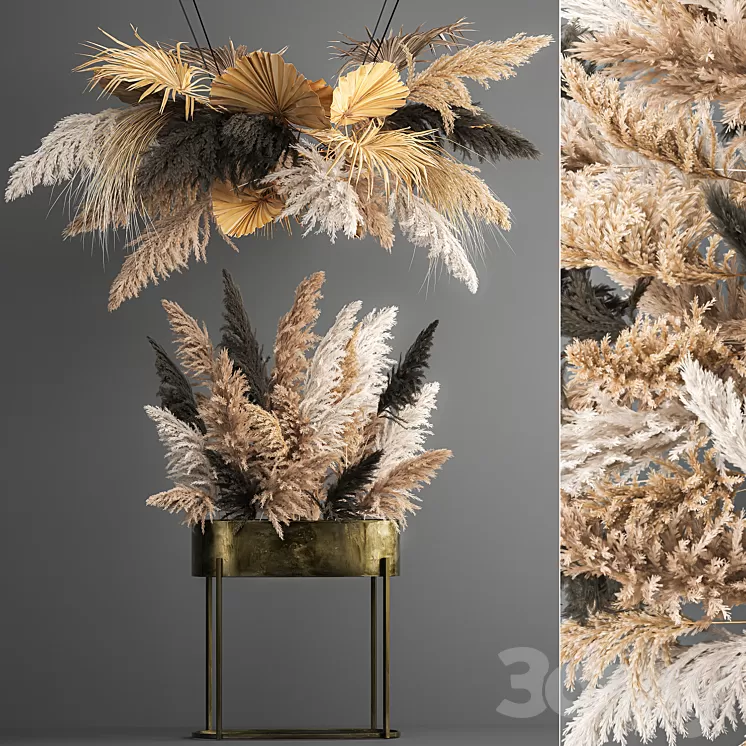 Hanging bouquet composition of dried flowers from pampas suspension dry palm leaf. 188. 3D Model Free Download Hanging bouquet composition of dried flowers from pampas suspension dry palm leaf. 188. 3D Model Free Download