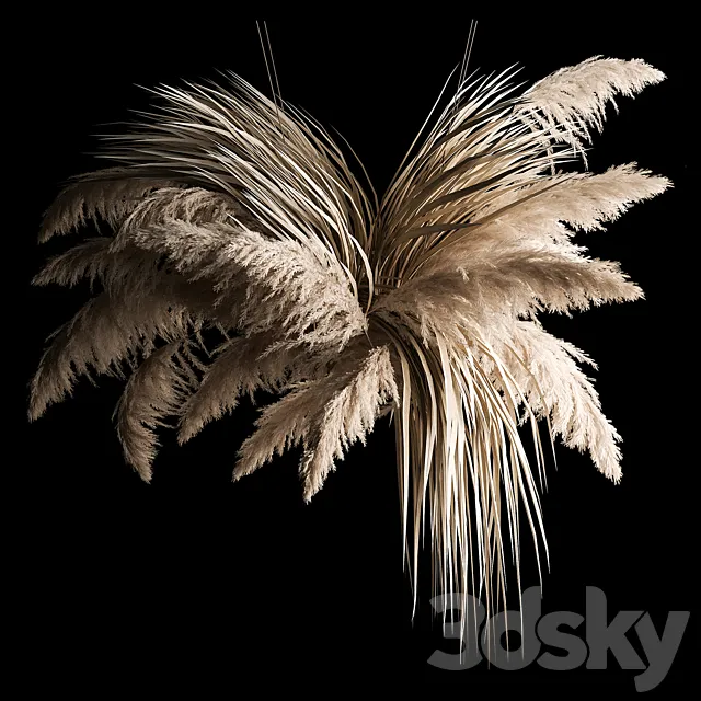 Hanging bouquet of dry reeds and pampas grass for decoration and interior. 266. 3D Model Hanging bouquet of dry reeds and pampas grass for decoration and interior. 266. 3D Model