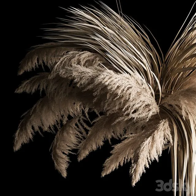 Hanging bouquet of dry reeds and pampas grass for decoration and interior. 266 3D Model Hanging bouquet of dry reeds and pampas grass for decoration and interior. 266 3D Model