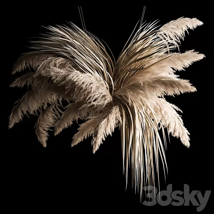 Hanging bouquet of dry reeds and pampas grass for decoration and interior. 266. 3D Model Free Download