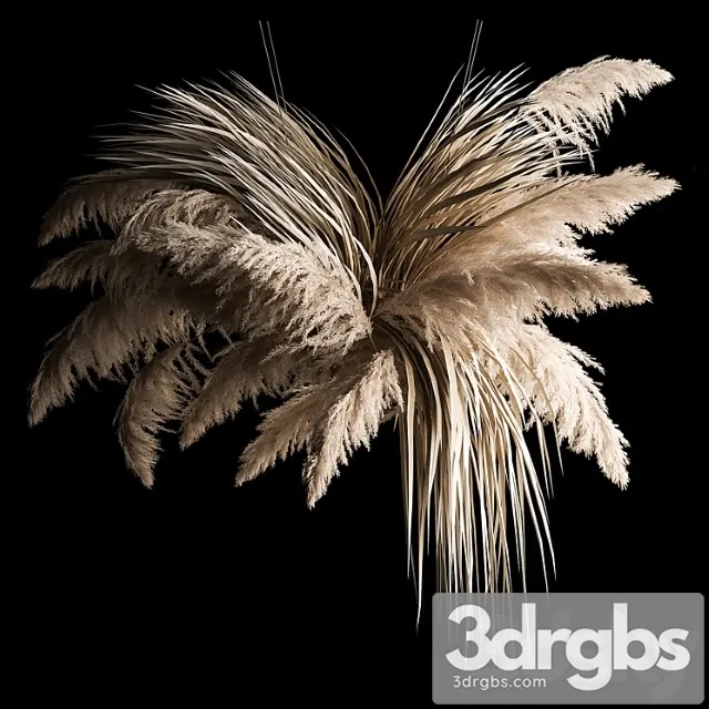 Hanging bouquet of dry reeds and pampas grass for decoration and interior. 266._1 Hanging bouquet of dry reeds and pampas grass for decoration and interior. 266._1