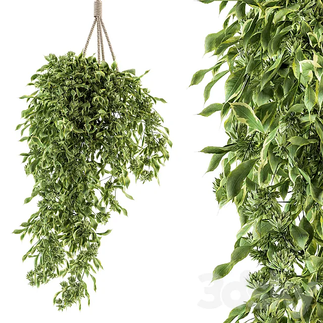 Hanging box plant – Set 154 3D Model