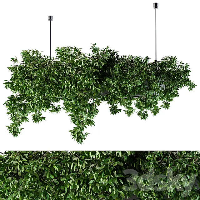 Hanging box plant – Set 72 3DModel