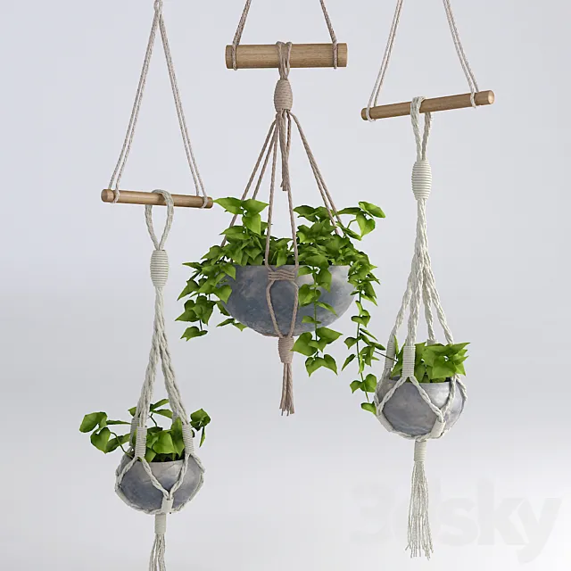 Hanging flowerpots # 4 3DModel Hanging flowerpots # 4 3DModel