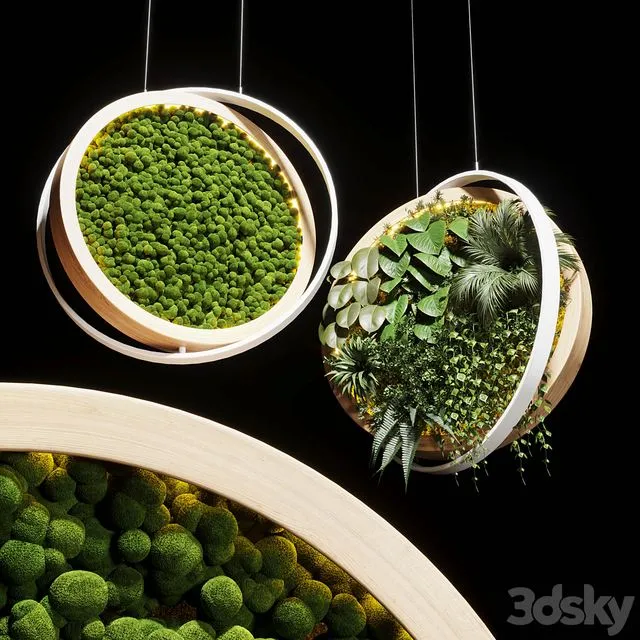 Hanging garden and hanging moss in wooden frame 218 3D Model Hanging garden and hanging moss in wooden frame 218 3D Model