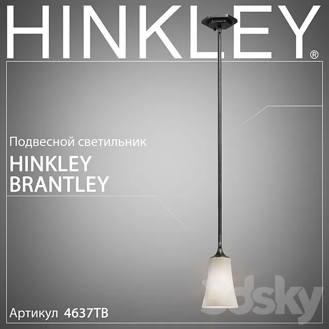 Hanging lamp Hinkley Brantley 4637TB 3DModel Hanging lamp Hinkley Brantley 4637TB 3DModel