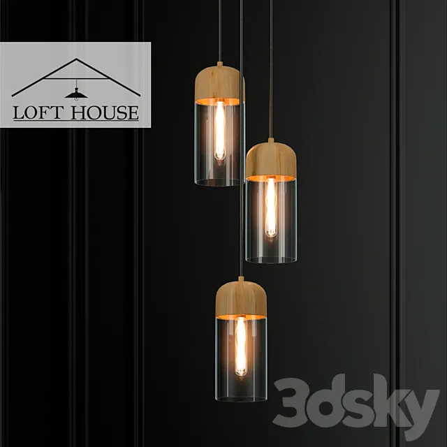 Hanging lamp LOFT HOUSE P-166 3DModel