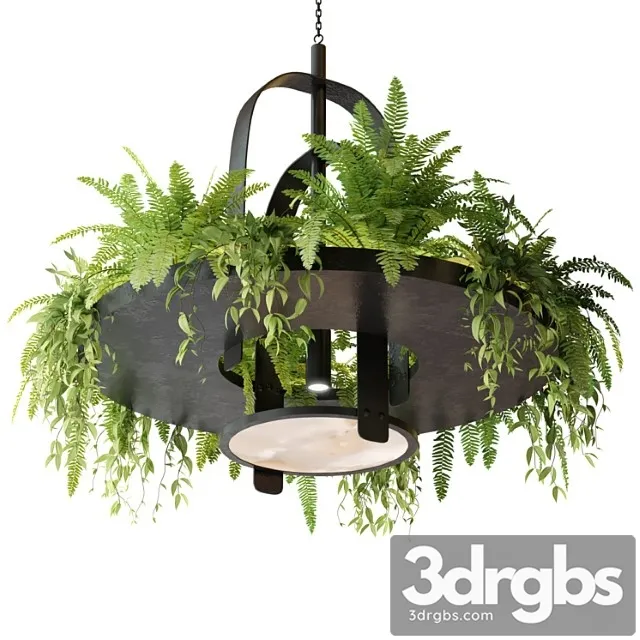 Hanging lamp with plants 3D Model Download