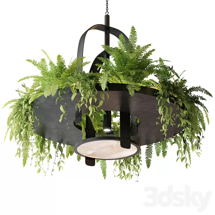 Hanging lamp with plants 3D Model