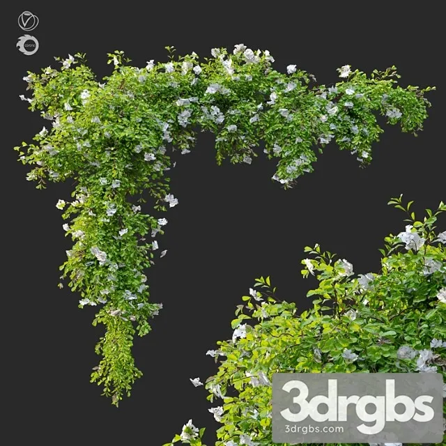 Hanging Plant 12 3D Model Download