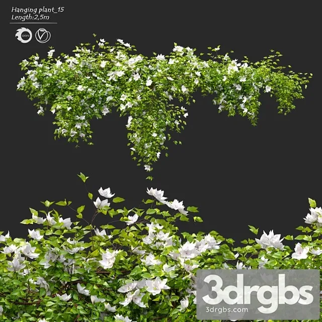 Hanging plant 15 Hanging plant 15