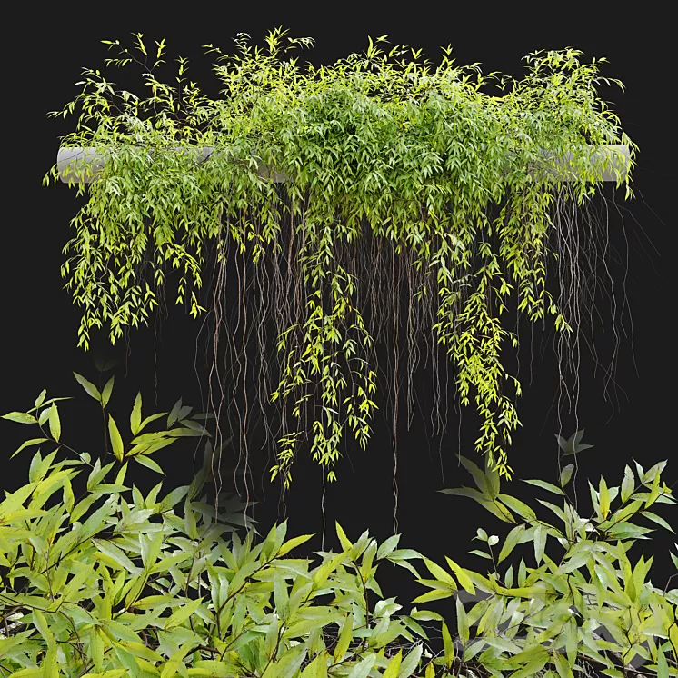 Hanging Plant 25 3D Model Free Download