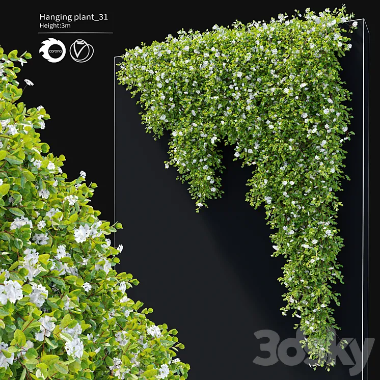 Hanging Plant 31 3D Model Free Download Hanging Plant 31 3D Model Free Download